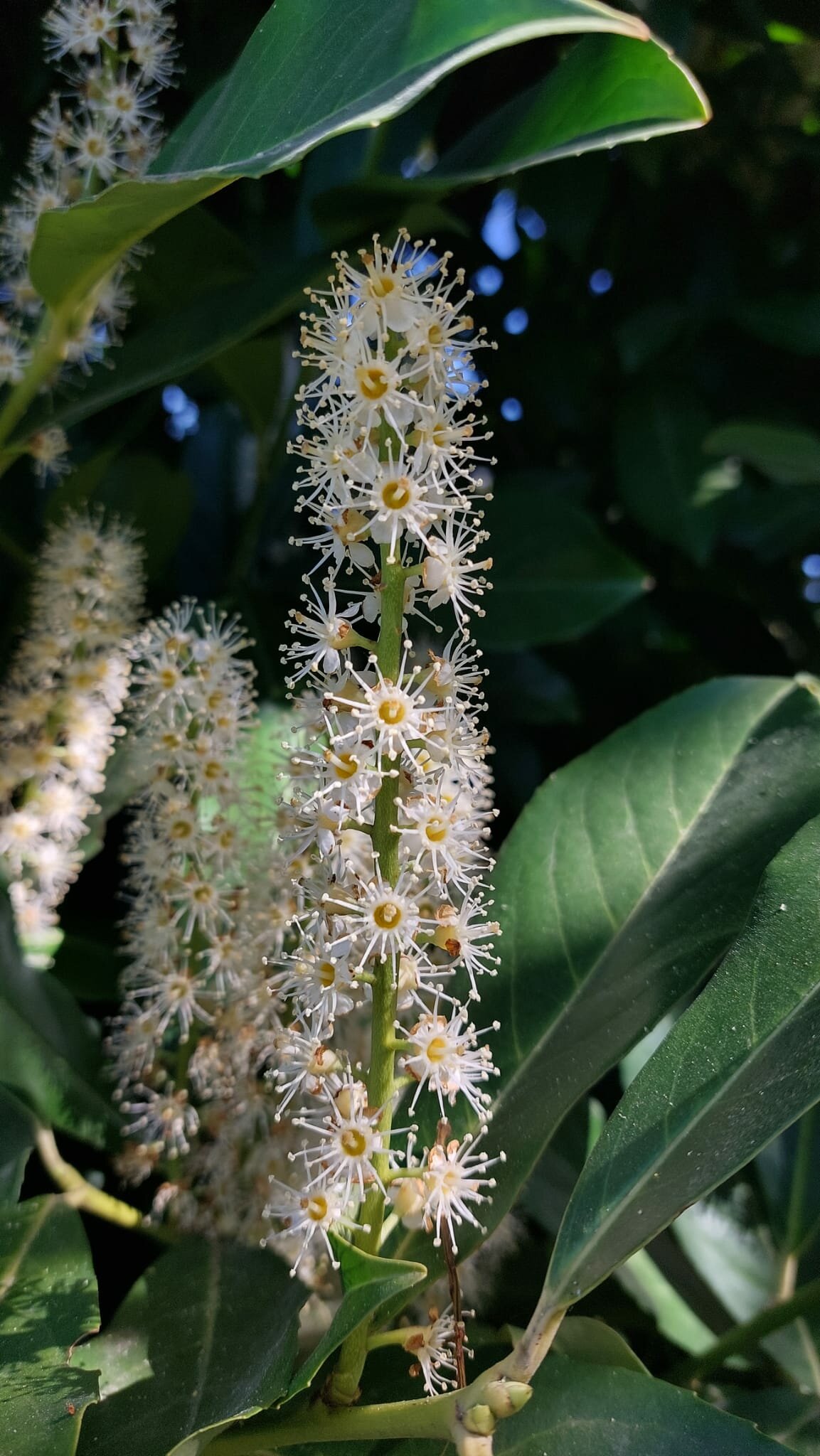 Autour De Trévoux-09