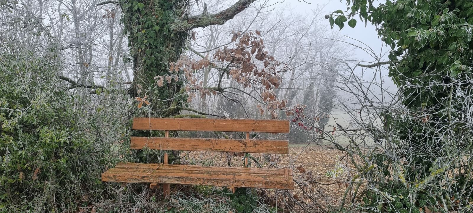 Bournay 2