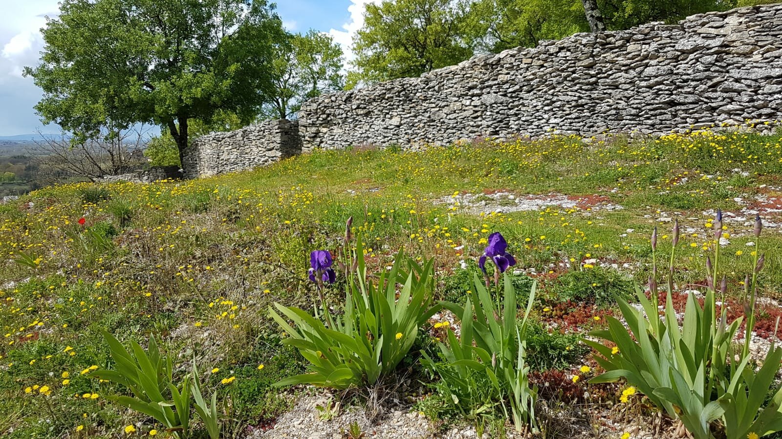 Crémieux-2023-04-13-17-55-05