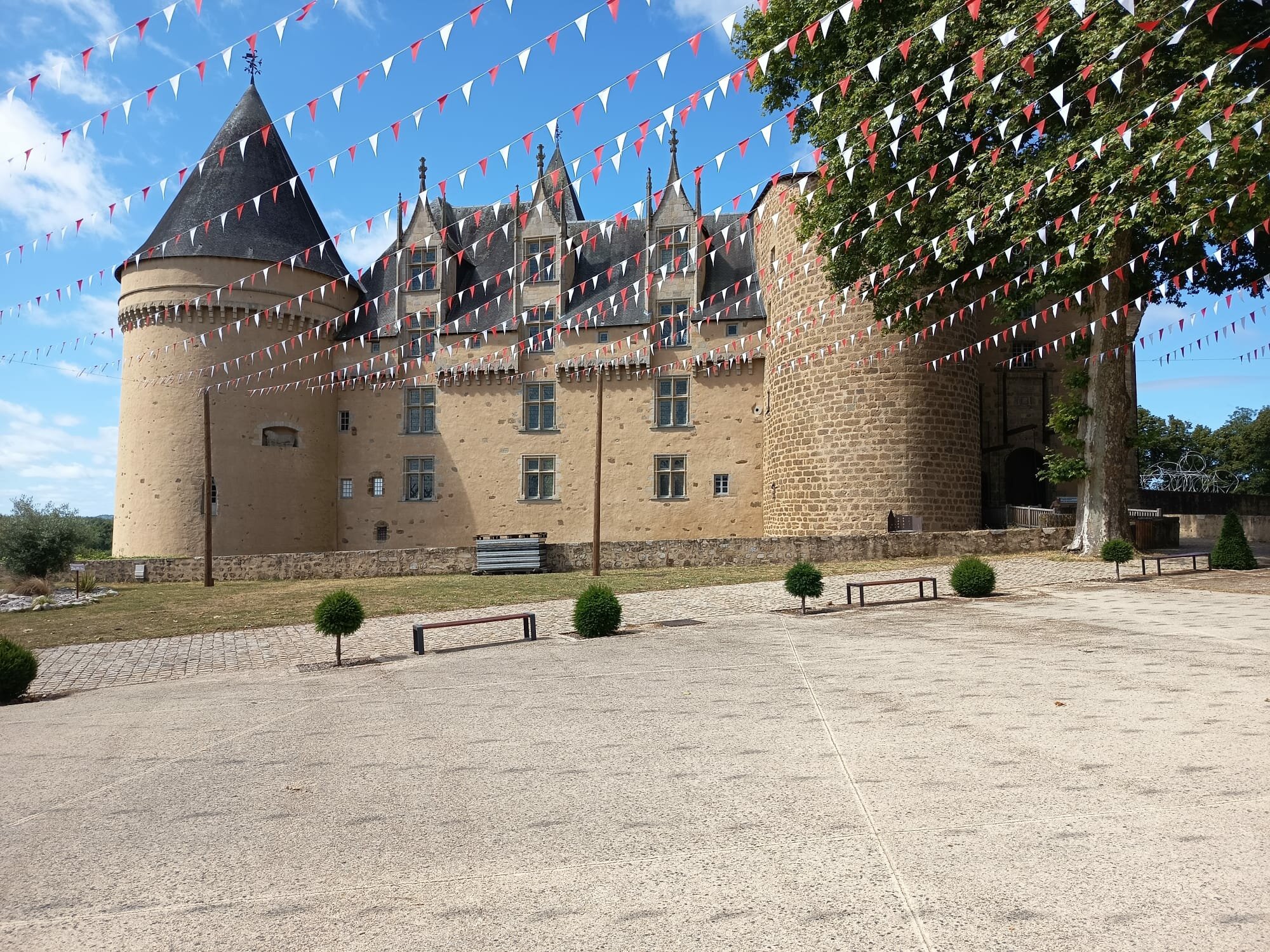 Cussac Limousin 2026-06-11(4)