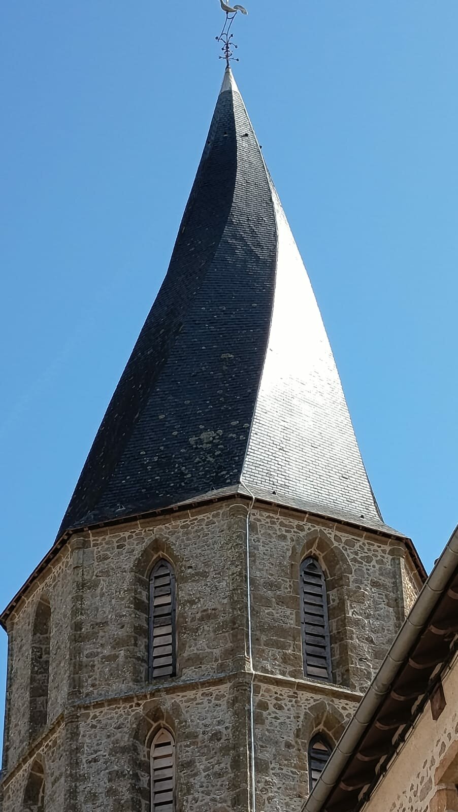 Cussac Limousin 2026-06-12 At 10.31.44 (3)