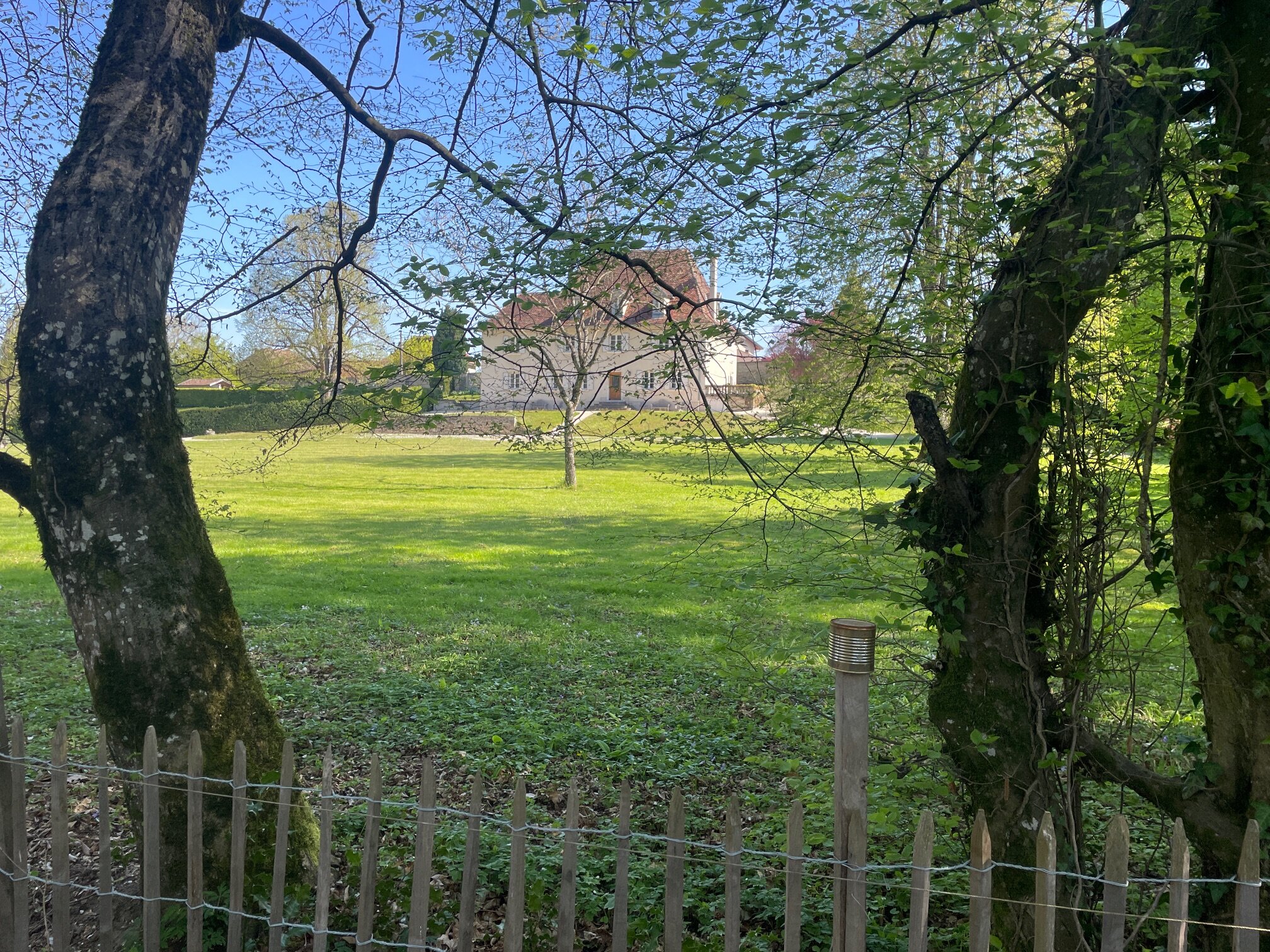 IMG 0952