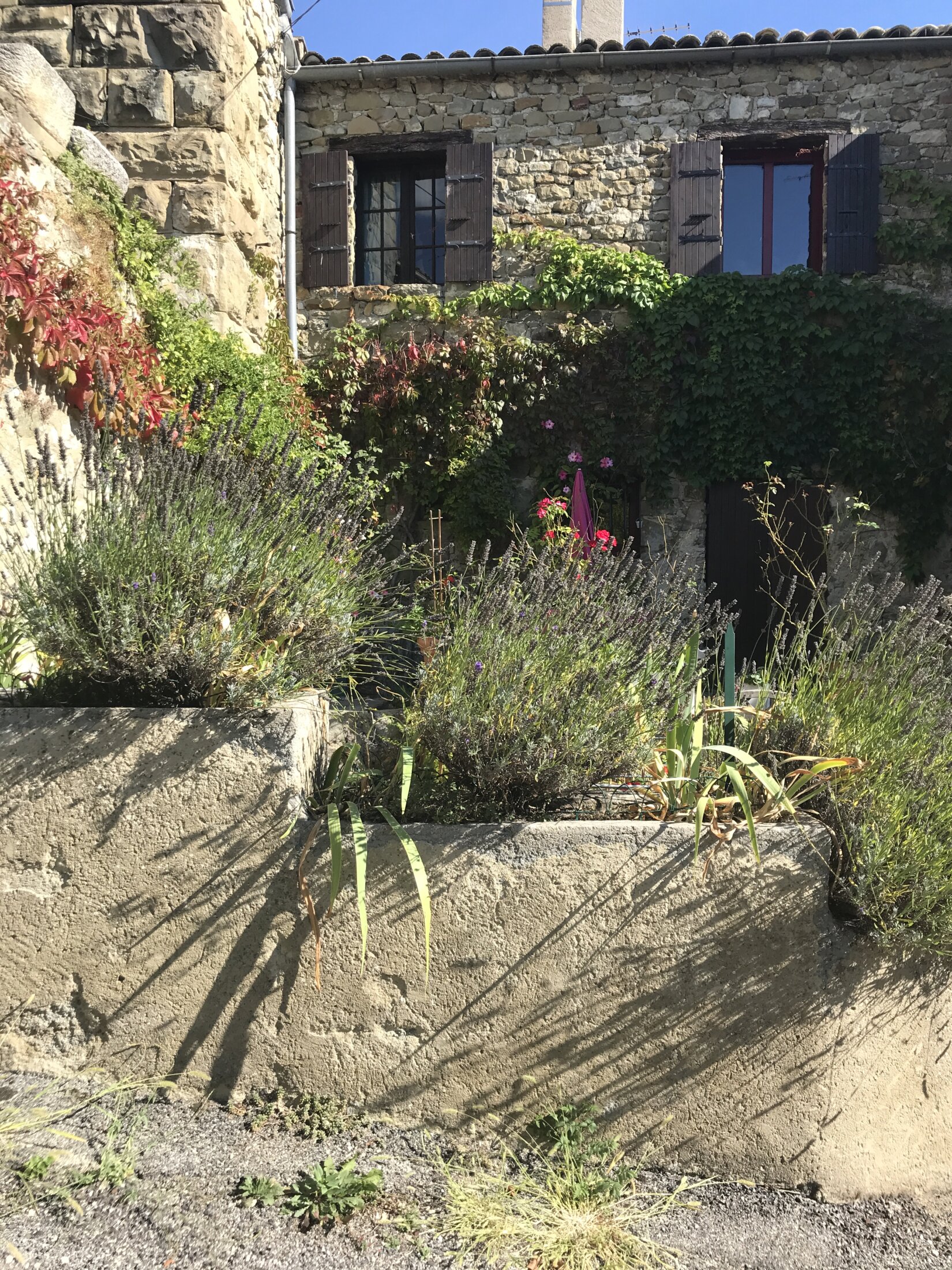 Autre petit jardin à Rosans