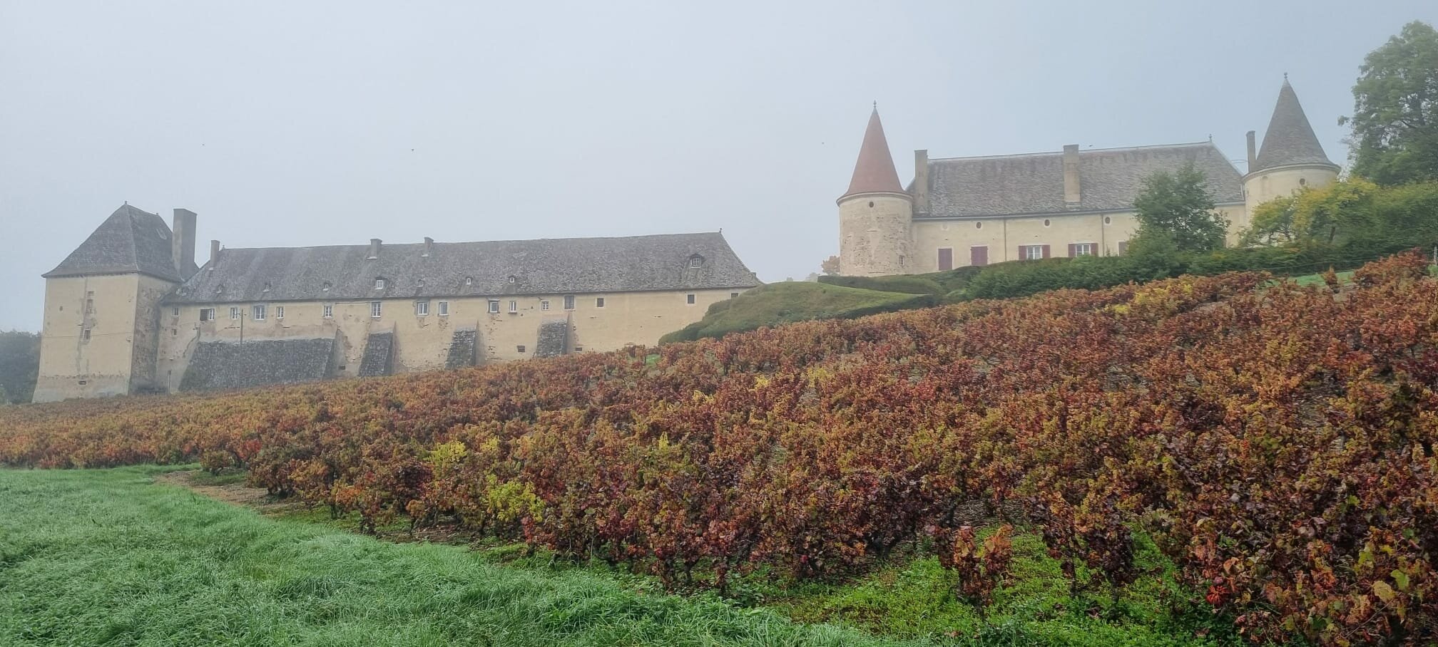 PHOTO-2025-10-16-18-03-48