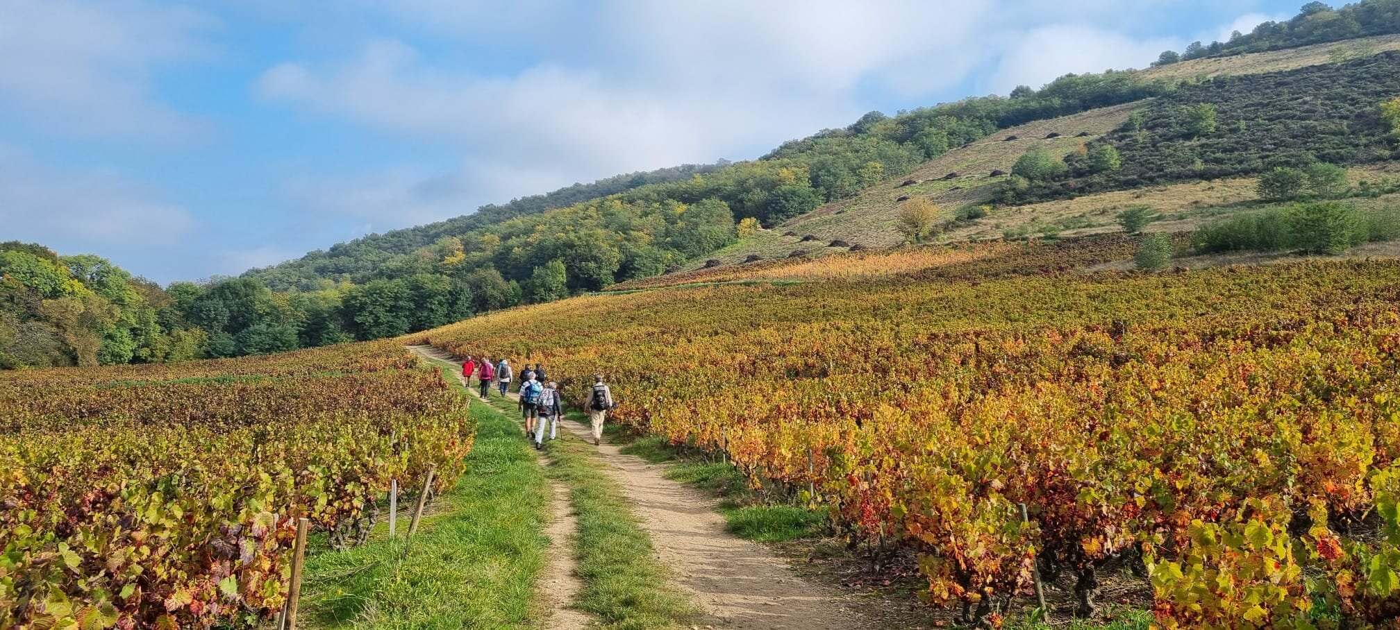 PHOTO-2025-10-16-18-03-49 (2)