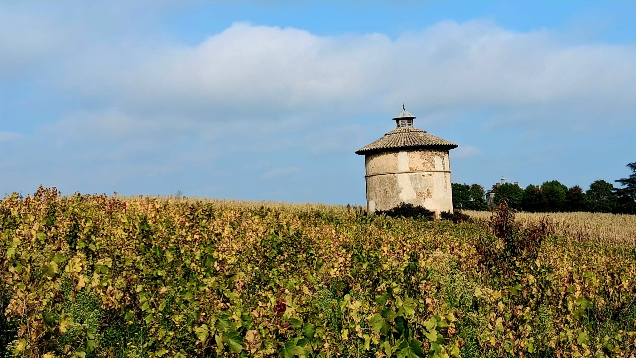 PHOTO-2025-10-16-18-42-31