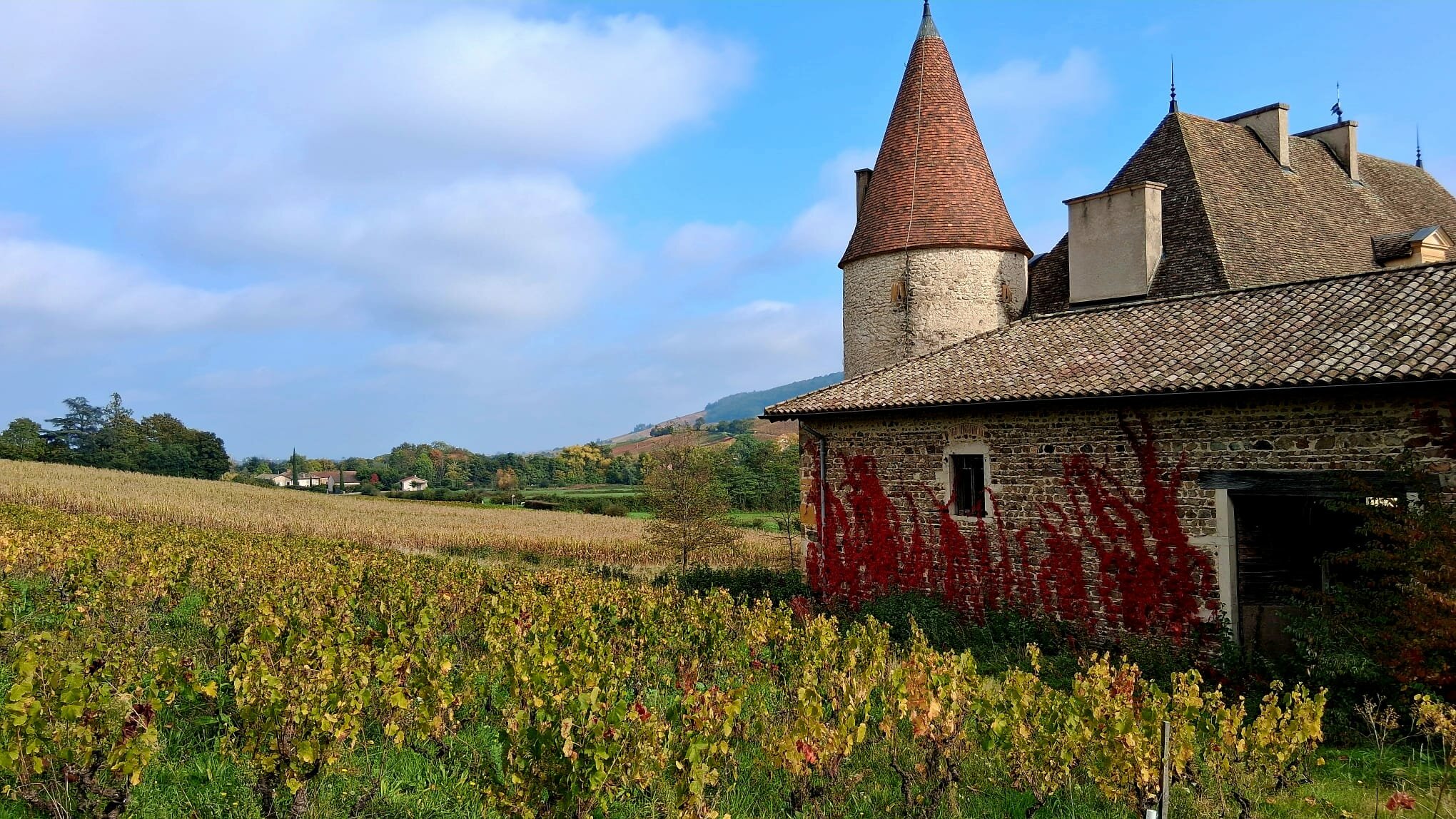 PHOTO-2025-10-16-18-42-32