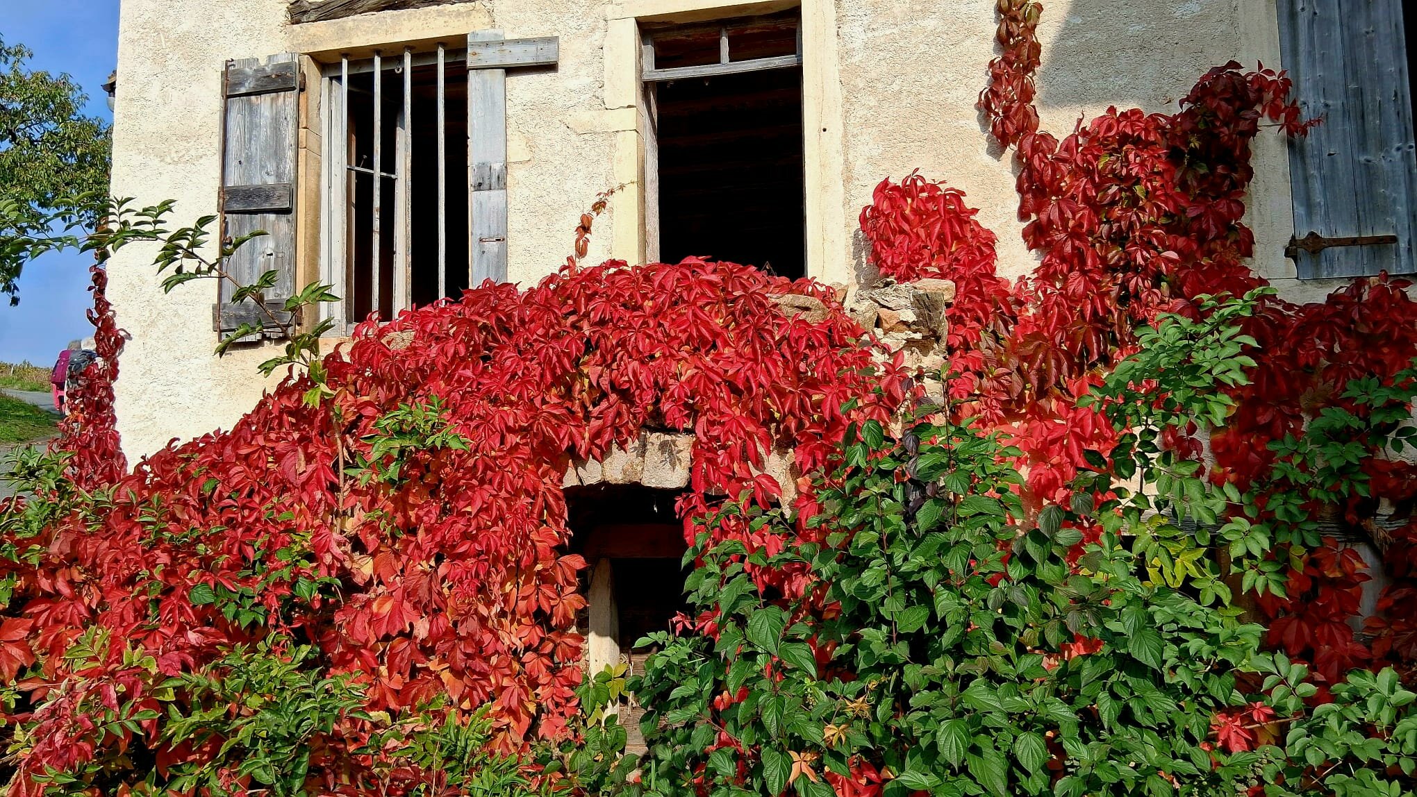 PHOTO-2025-10-16-18-42-32 (1)