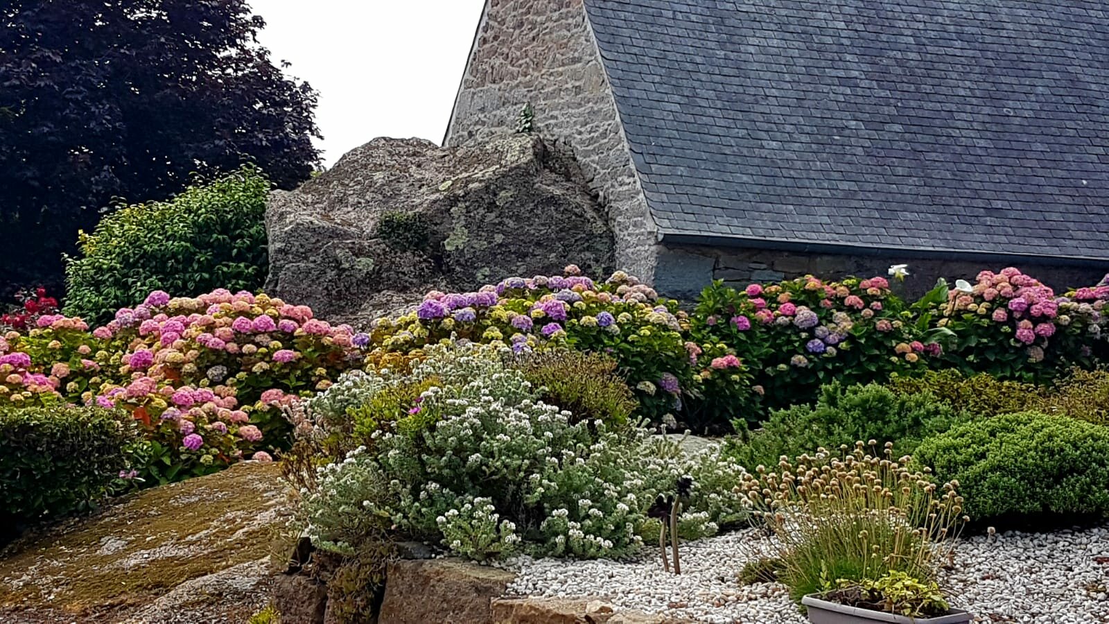 Ploumanach-2023-06-22-22-53-29 2