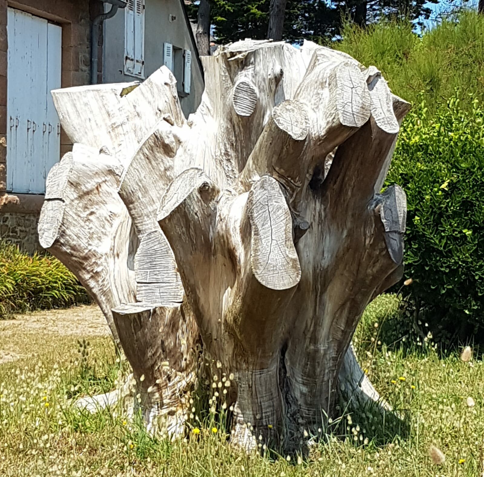 Ploumanach-2023-06-22-22-53-30