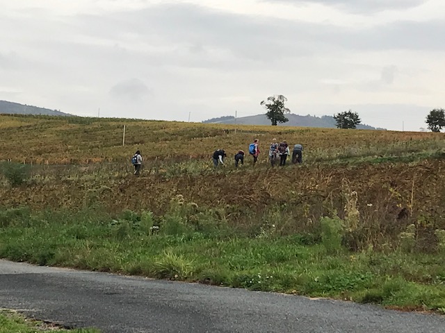 REGNIE DURETTE 20 10 2022 (10)