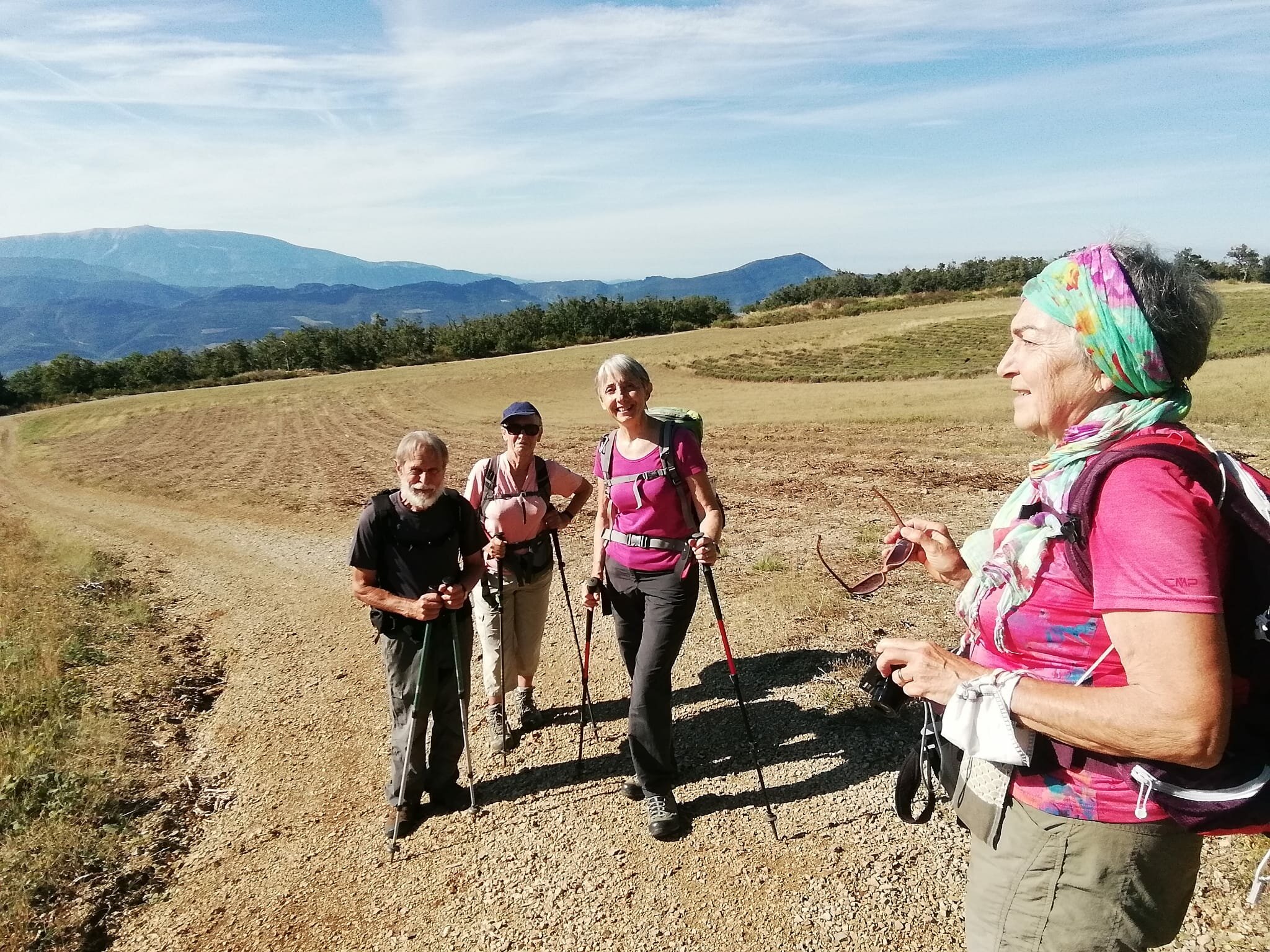 nouveaux champs de lavandes sur le chemin du col de Soubeyrand