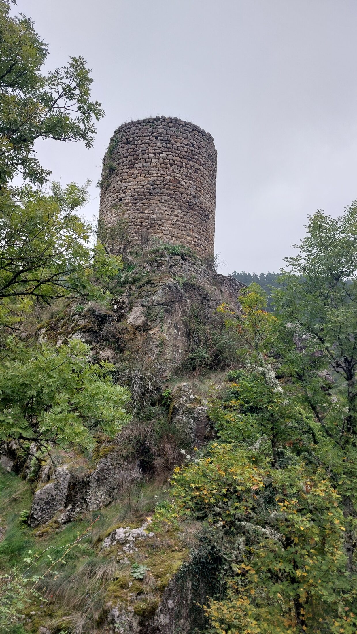 Semène Tour D Auriol-2
