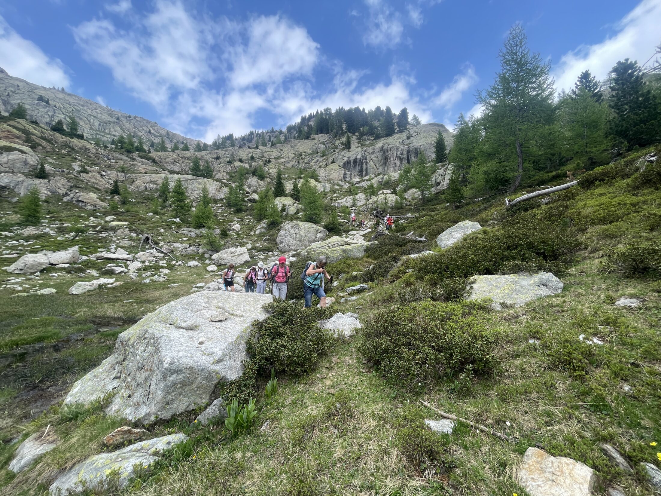  Berthemont-04