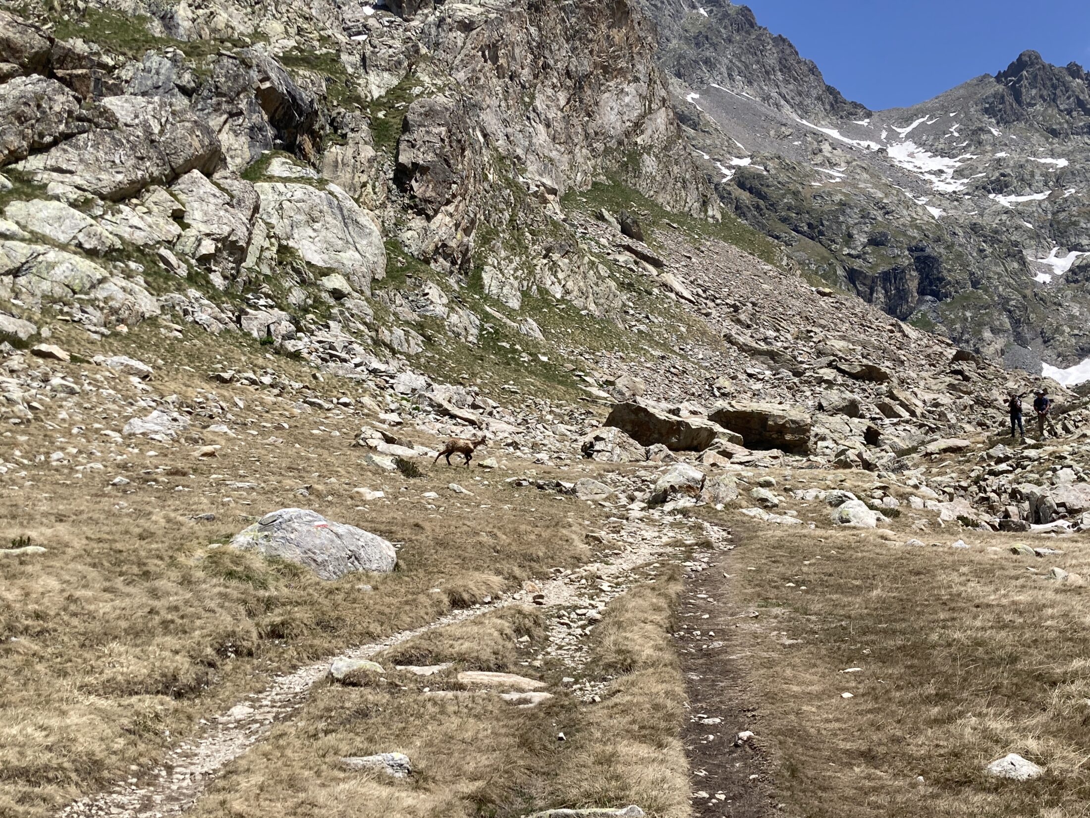  Berthemont-14 2