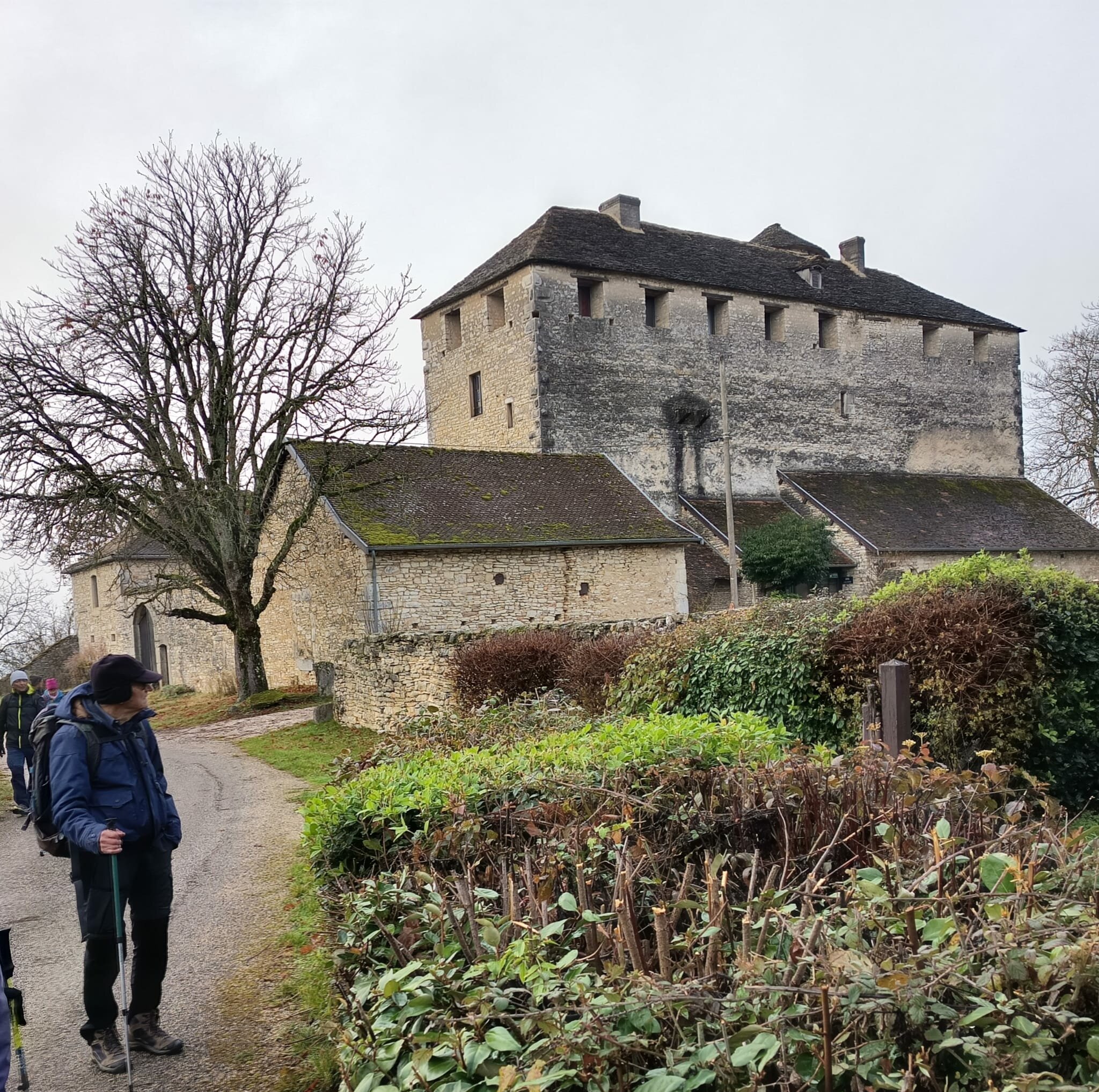  La Rama- 2025-12-04 At 10.36.38