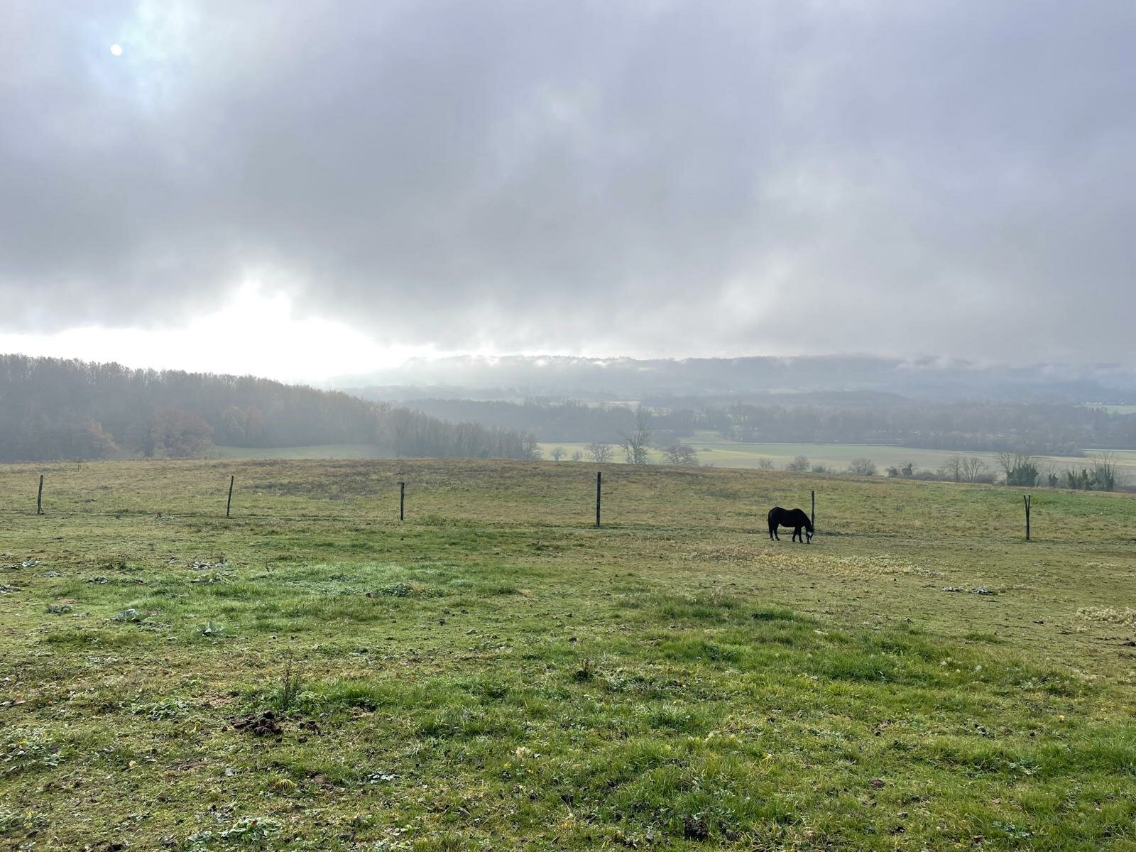  La Rama- 2025-12-04 At 10.41.50