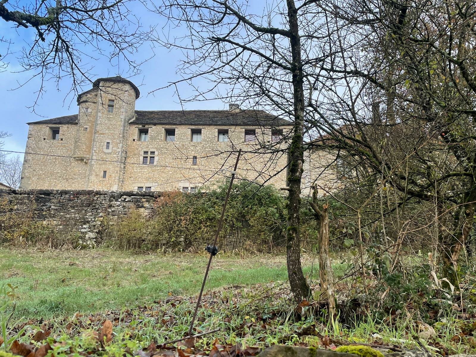  La Rama- 2025-12-04 At 10.42.38