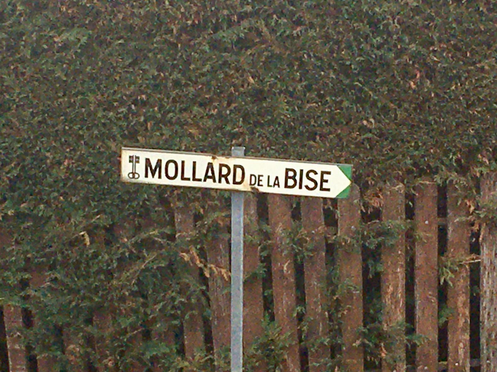 Mollard-de-la-Bise-2020-03-12-16-12-57 3