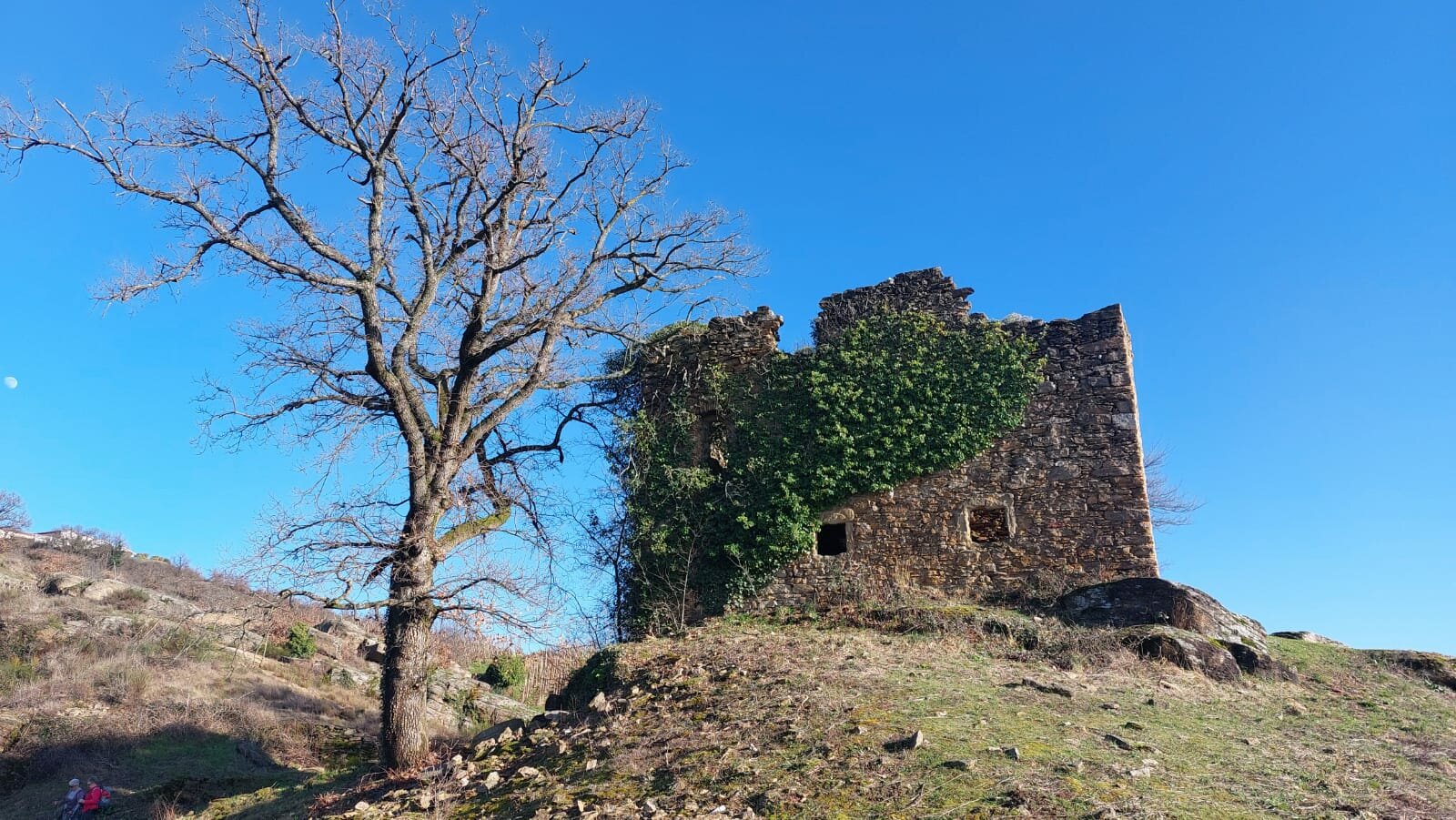 Seyssuel-Chateau-des-évêques5