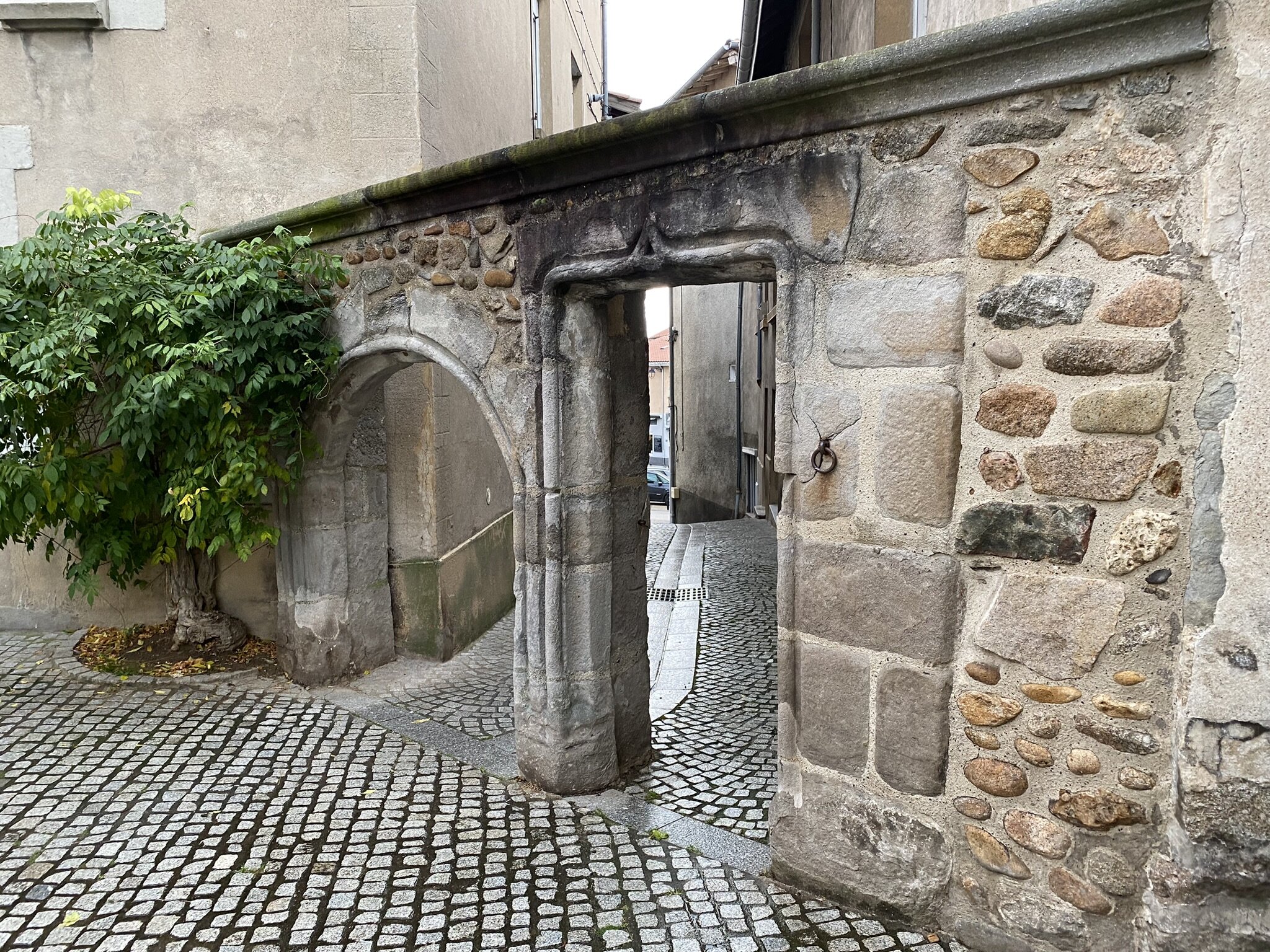 St Galmier 21 11 2024 (10)