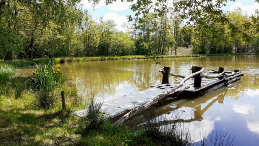 Etang du RIF Blanc