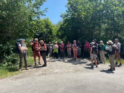 Cussac Limousin 2026-06-07 At 10.16.38 (9)