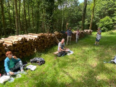 Cussac Limousin 2026-06-11 At 11.41.06 (3)