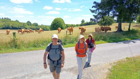 Cussac Limousin 2026-06-11 At 11.41.06 (6)