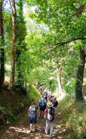 Cussac Limousin 2026-06-12 At 10.31.44 (7)