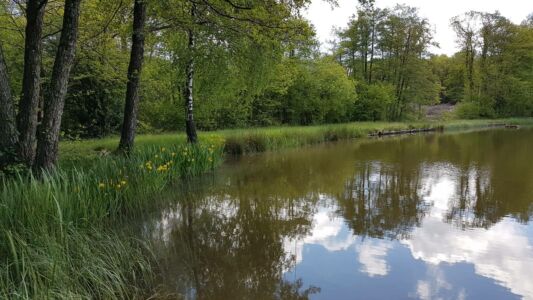  Etang de Nantoin