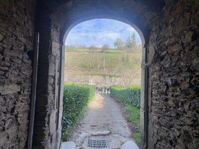 IMG 0670