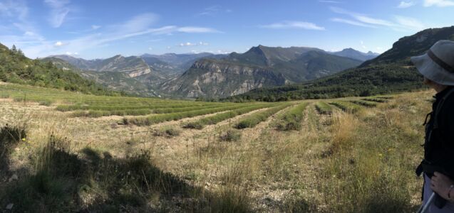 au col de Soubeyrand