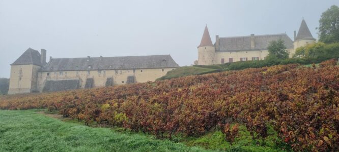 PHOTO-2025-10-16-18-03-48