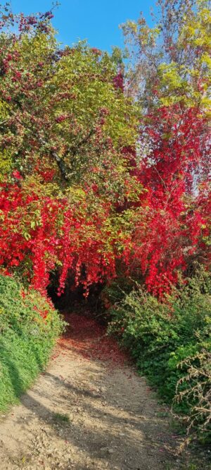 PHOTO-2025-10-16-18-03-49