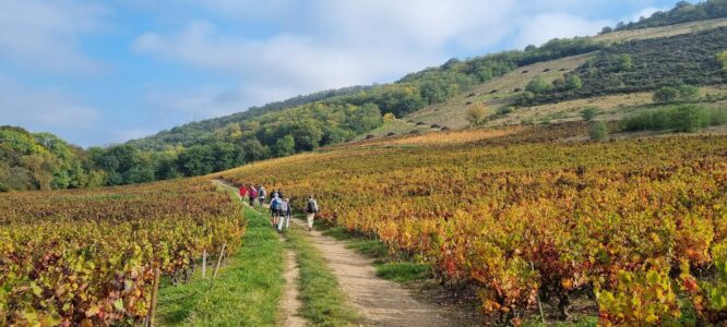 PHOTO-2025-10-16-18-03-49 (2)