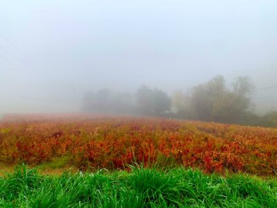 PHOTO-2025-10-16-18-32-43