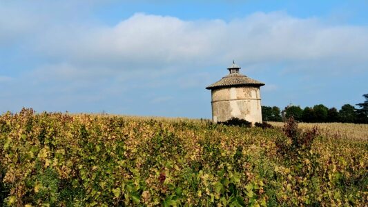 PHOTO-2025-10-16-18-42-31