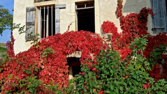 PHOTO-2025-10-16-18-42-32 (1)