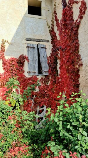 PHOTO-2025-10-16-18-42-32 (2)