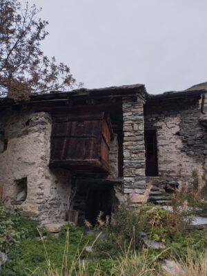 PHOTO-2026-09-11-14-12-23 (2)