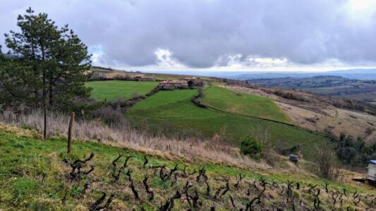 Rivollet-3