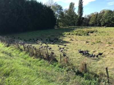 ST DIDIER ARS DE FORMANS 13 10 2022 (7)