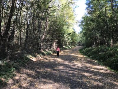 ST DIDIER ARS DE FORMANS 13 10 2022 (8)