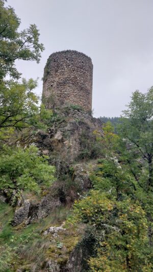 Semène Tour D Auriol-2