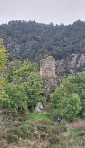 Semène Tour D Auriol