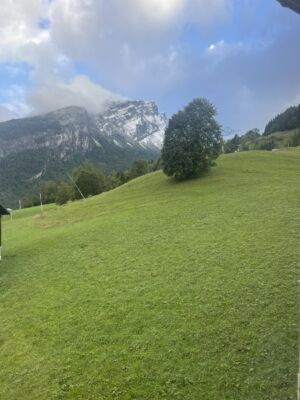 Sixt-55