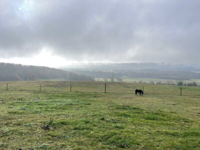  La Rama- 2025-12-04 At 10.41.50