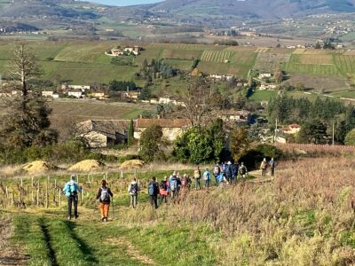  Pommiers 2025-11-13 At 17.44.18