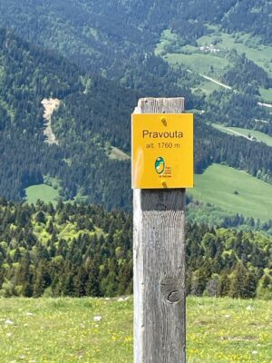  Pravouta- 15.24.12